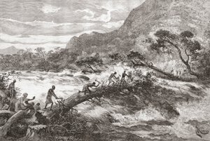 Un pont improvisé en Afrique centrale, de 